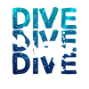 Diver diving the sea