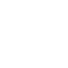 Setter dog