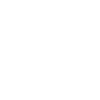 Cocker Spaniel