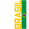 Retro Brazil jersey