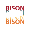Bison Büffel