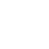 police officer