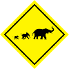Famille d'éléphant
