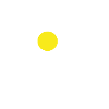 Daisy gift