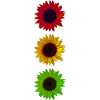 Sonnenblumen Bunte Ampel