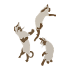Three Cats Jumping Playful Gift