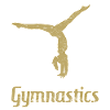 Gymnastics Turner