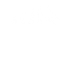 Evolution CEO - Entrepreneur, Chief,