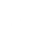Blind Belief in Authority