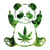Panda stoned weed