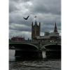 Palace of Westminster