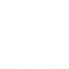 Camicia della stemma della Moldavia