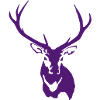 Cerf renne rouge avec panache