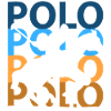 Polo Sport