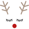 Rudolph reindeer face gift idea