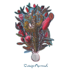 cactus vase