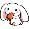 cute_rabbit