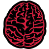 brain