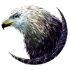 Adler