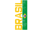 BRAZIL JERSEY