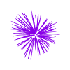 Fireworks purple