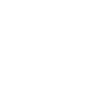 skier