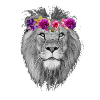 lion