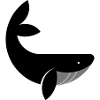 Black Whale