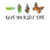 Motivation caterpillar butterfly inspiration shirt