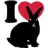 I love rabbits