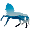 cheval