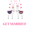 Llama get married