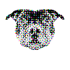 Staffy dog
