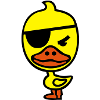 Pirate duck