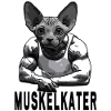 Muskelkater Katze