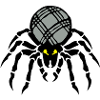 petanque araigne ball