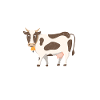 vache