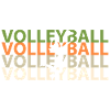 Volleyball player volleyball player