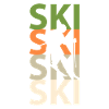 skier