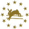 Lapin & Étoiles