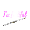 Flute flute player