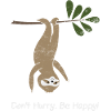 sloth