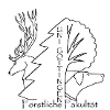 Logo de la communauté scientifique