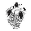 Flowers in you heart