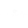 Bonsai T-Shirt Geschenk