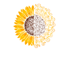 Sonnenblume Radfahren Geschenk
