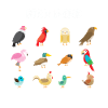 Nerd des oiseaux