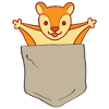 Lustiges Flughörnchen in Brusttasche