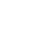 THE WALKING DAD