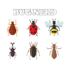 Bug Nerd
